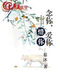 爱你念你是什么歌的歌词