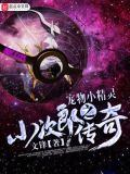 神奇宝贝之小次郎的传奇