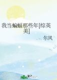 综英美我当蝙蝠那些年