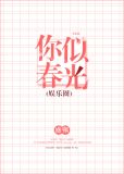 不写了抱歉