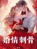 小说婚情