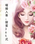 暖婚入骨：甜蜜365式